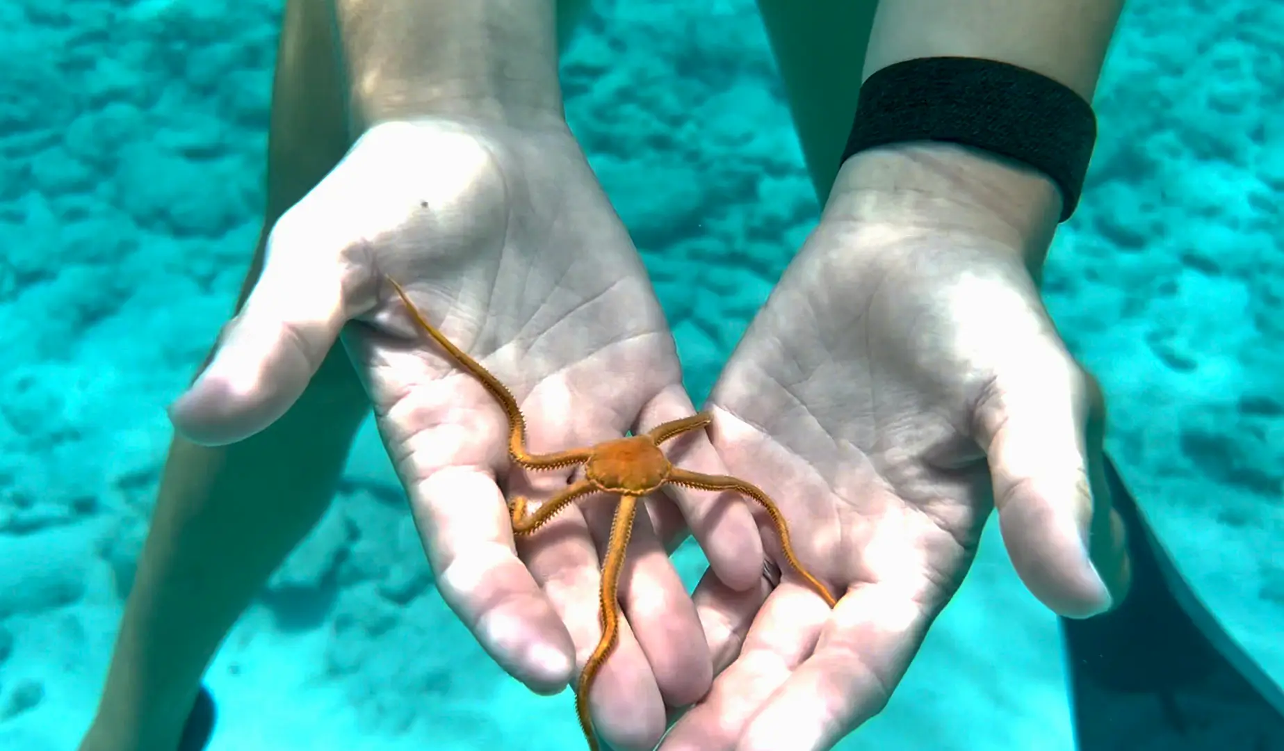 About Us & Our St. Thomas Boat Charters