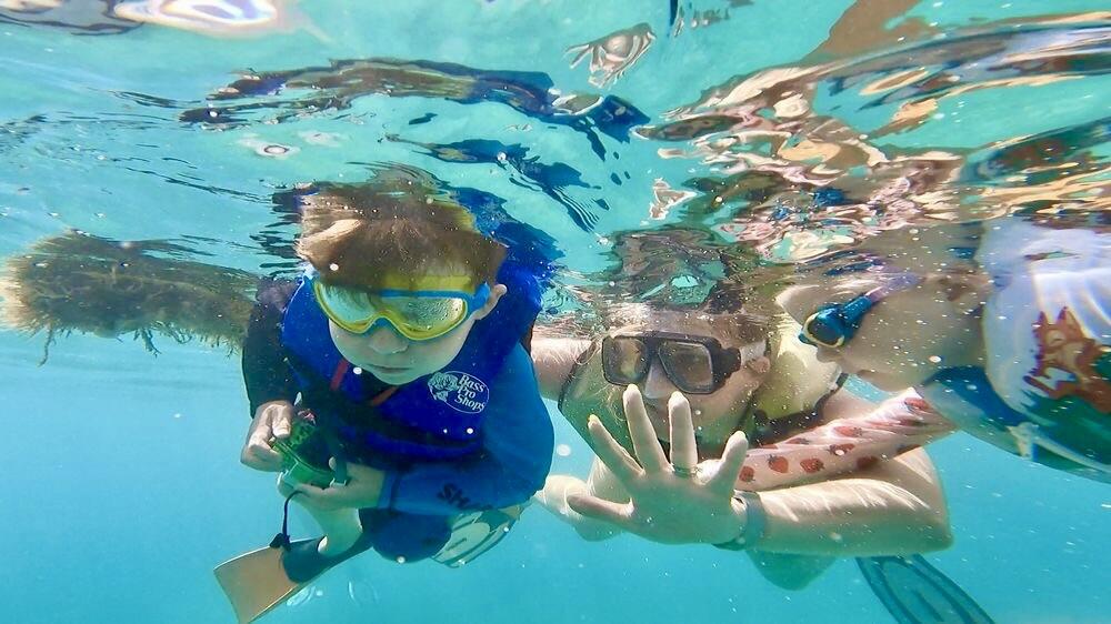 Half-Day Luxury Catamaran Sail & Turtle Snorkel gallery image 3