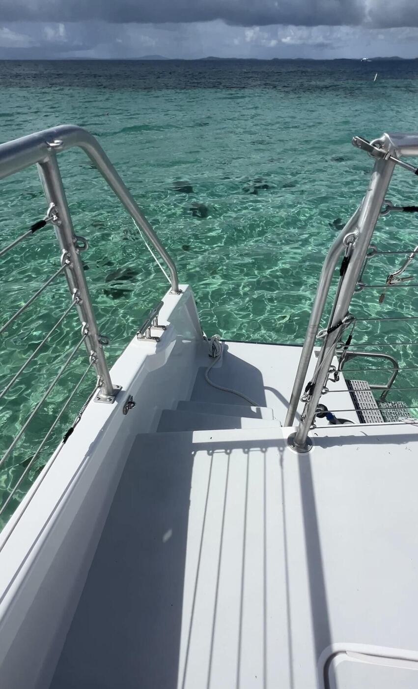 Swim Platform & Ladders